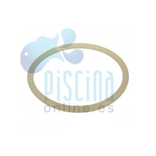 Junta de la tapa del filtro...