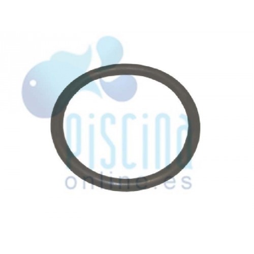 Junta tórica del proyector...