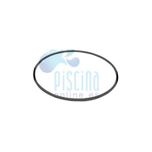 Junta del cuerpo del filtro...