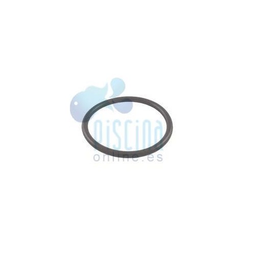 Junta tórica del codo de...