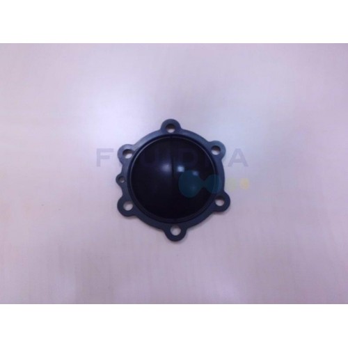 JUNTA MEMBRANA MULTIPORT